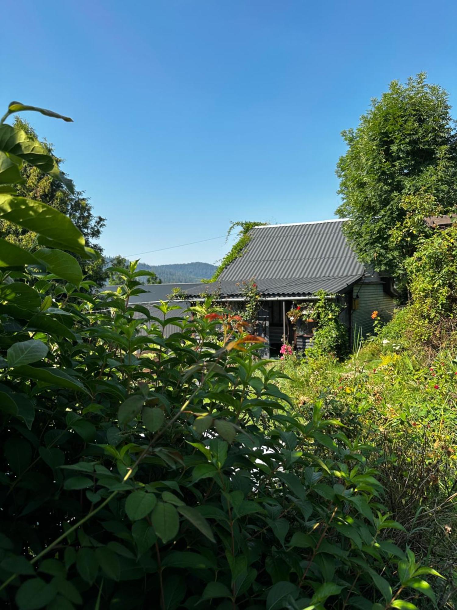Казковий Дім Та Garden Два Будиночки В Горах З Чаном-Джакузі Slavske Exterior photo