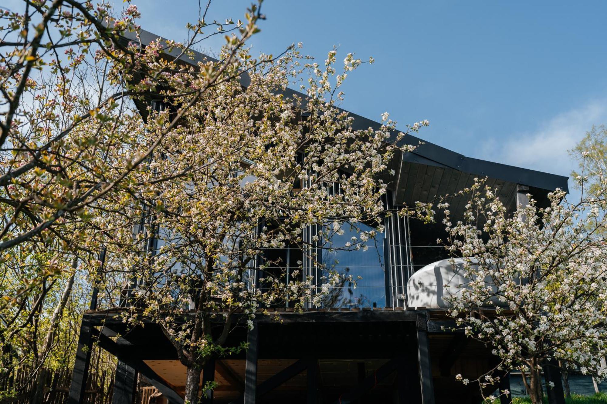 Казковий Дім Та Garden Два Будиночки В Горах З Чаном-Джакузі Slavske Exterior photo